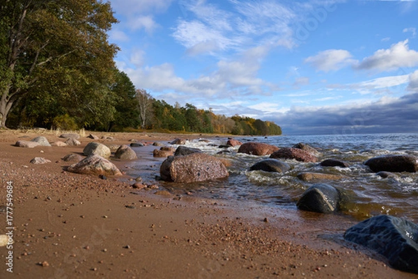 Obraz Sandy beach with stones and autumn trees under blue cloudy sky.