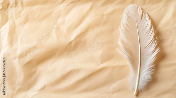 Fototapeta Elegant white feather on crumpled beige paper background with empty space. Natural, minimalist decor