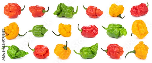 Fototapeta Set oe collection with different chili peppers on white background