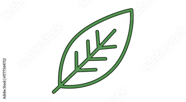 Obraz Simple green leaf illustration with visible veins, isolated on a white background.