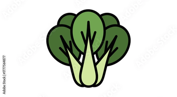 Obraz A stylized illustration of a bok choy vegetable, showing its leaves and stem.
