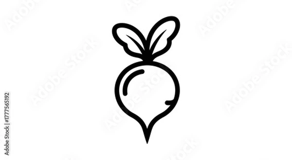 Obraz Simple line drawing of a beet with leaves, isolated on a white background.