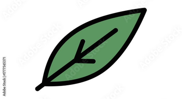 Obraz A simple illustration of a green leaf with a dark outline, isolated on white.