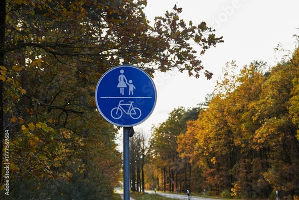 Obraz дорожный знак