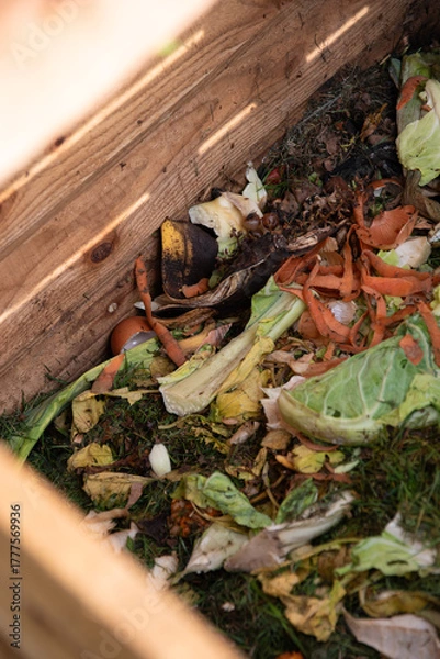 Fototapeta Vue sur l'intérieur d'un composteur ouvert en automne, format vertical