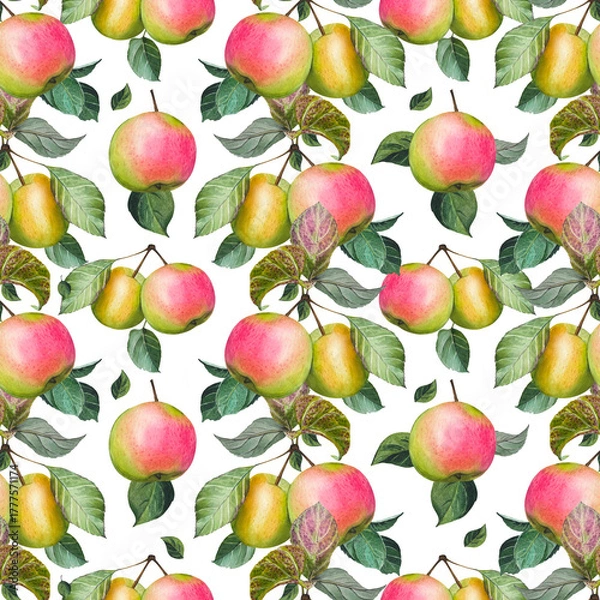 Obraz Hand drawn seamless pattern with ripe pink and yellow apples and leaves. Watercolor illustration.