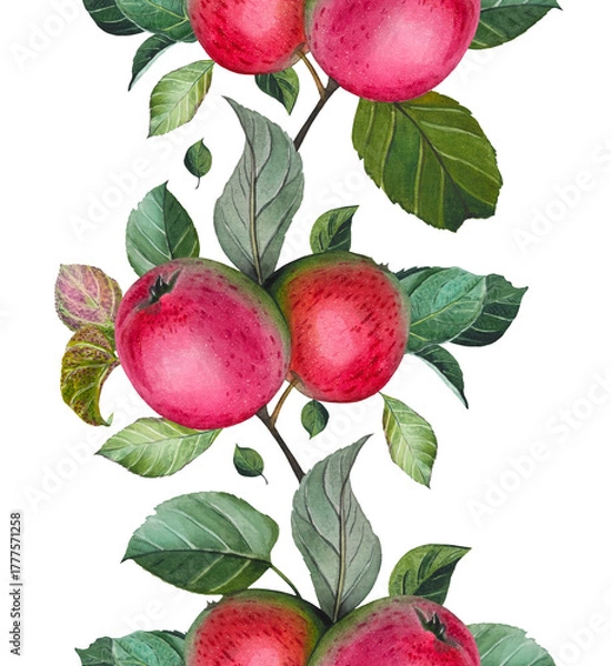 Obraz Seamless border with ripe red apples and leaves. Watercolor illustration.