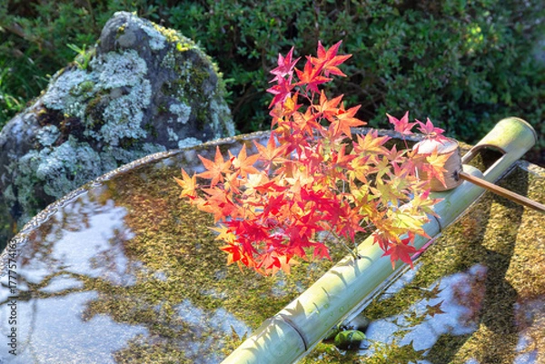 Obraz 圓光寺の水琴窟