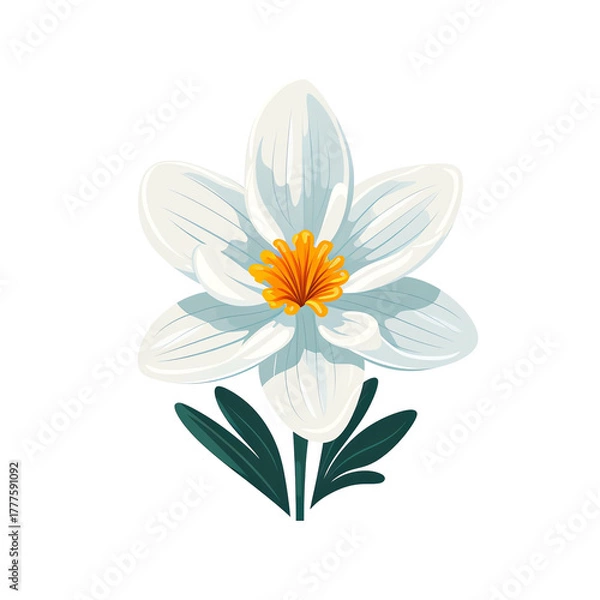 Fototapeta A delicate white flower with intricate petals and a vibrant orange center, ideal for nature-inspired designs.