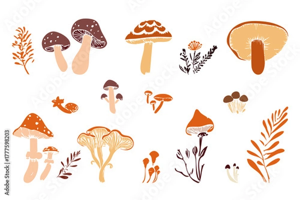Fototapeta Hand drawn vector set autumn mushrooms elements