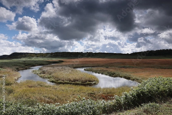 Obraz 秋の雨竜沼湿原