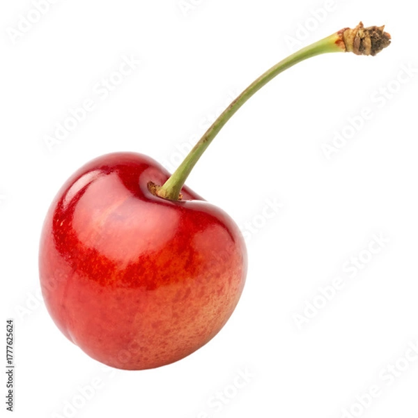 Obraz A whole cedar bay cherry fruit isolated on a transparent background