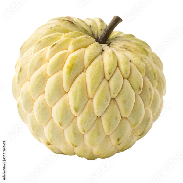 Obraz A whole custard apple fruit isolated on a transparent background