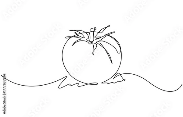 Fototapeta Tomato continuous one line drawing minimalist style, Isolated on transparent background. Editable outline