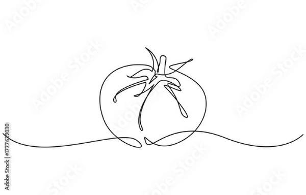 Fototapeta Tomato continuous one line drawing minimalist style, Isolated on transparent background. Editable outline