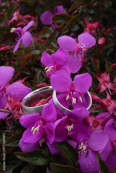 Obraz Joyas entre pétalos de flores moradas