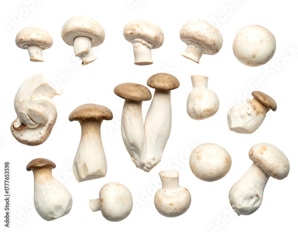 Obraz A collection of various fresh, raw fungi with white and brown caps, isolated on a stark black background