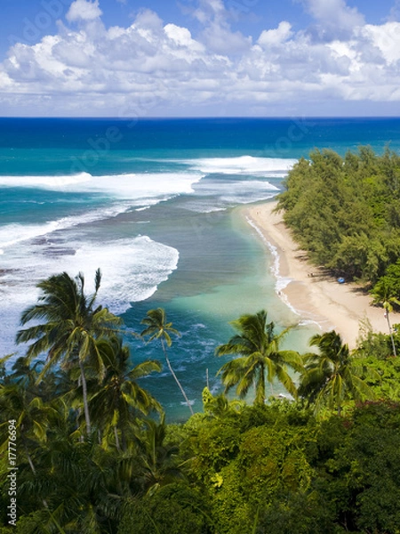 Obraz Kee Beach from Kalalau trail in Kauai, Hawaii