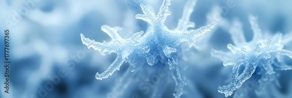 Obraz frost on grass