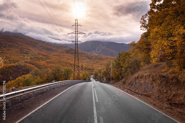 Fototapeta Autumn road in the forest, against the background of an autumn forest, trees with autumn leaves