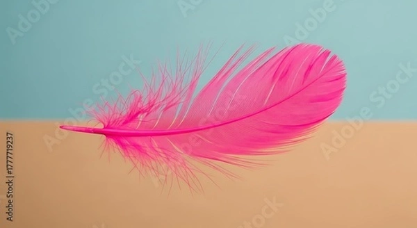 Obraz A vibrant pink feather rests diagonally against a two-toned background of pastel blue and beige, creating a minimalist and colorful composition.