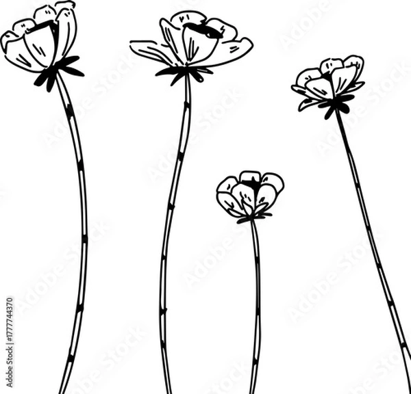 Obraz vector illustration of hand drawn flowers