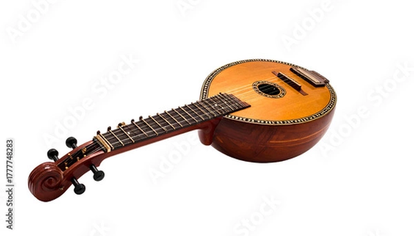 Obraz Round-bodied stringed instrument with fretboard on black background