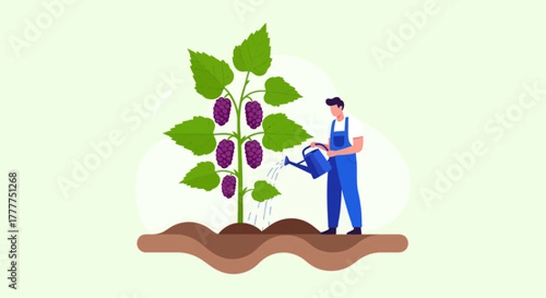 Fototapeta Nurturing Growth: A Gardener Watering the Grapes in an Orchard Environment Scene