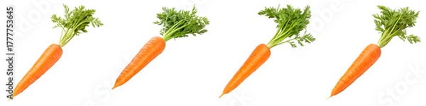 Fototapeta Four fresh carrots isolated on transparent background, ready to be eaten