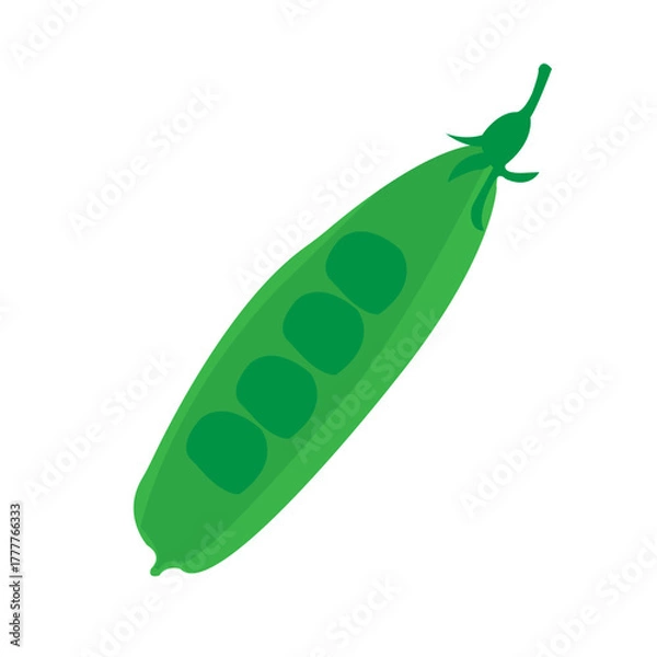 Fototapeta edamame bean vector