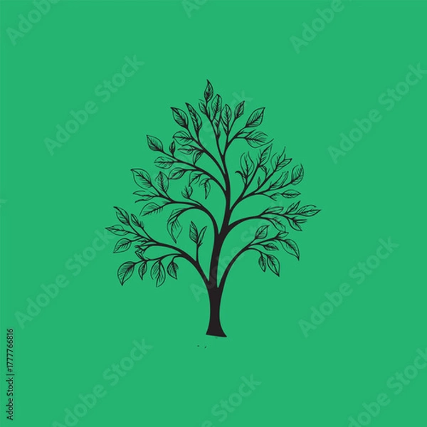 Fototapeta silhouette of a tree vector art illustration.