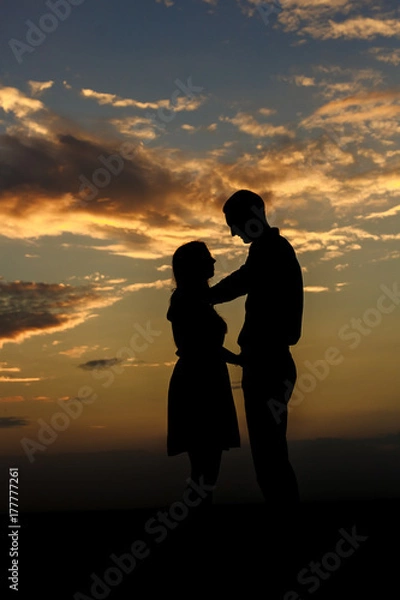 Fototapeta Влюбленная пара. Силуэт
