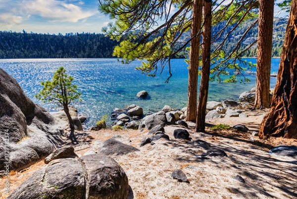 Fototapeta Sunny lakeshore view of Emerald Bay at Lake Tahoe California USA with clear turquoise water granite rocks and pine trees on sandy shore under bright blue sky in peaceful Sierra Nevada wilderness
