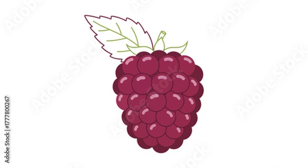 Fototapeta Vibrant Illustration of a Fresh Blackberry, Digitally Rendered, Isolated on White