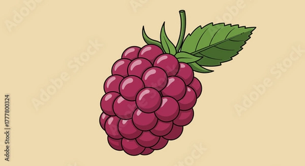 Fototapeta Vibrant Illustration of a Freshly Picked Raspberry Fruit on Neutral Background