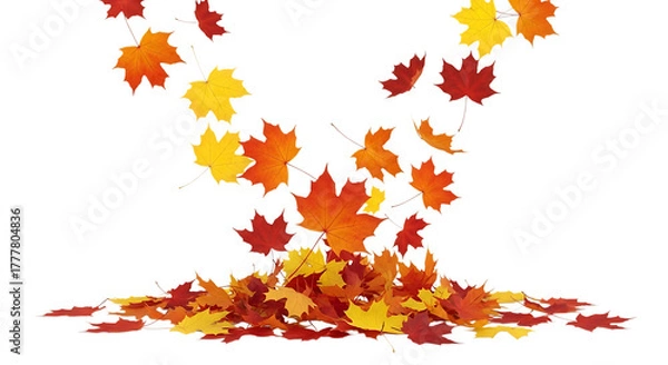 Fototapeta Falling autumn leaves isolated on transparent background create a seasonal scene