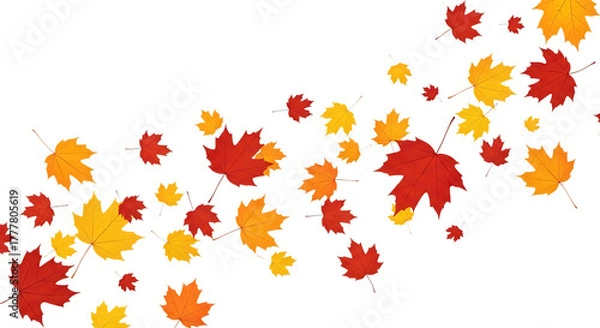 Fototapeta Colorful autumn leaves isolated on transparent background for seasonal decoration