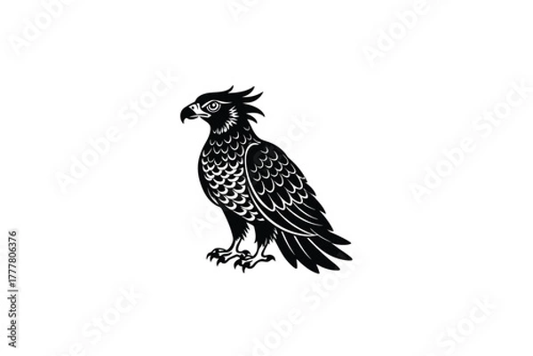 Fototapeta harpy eagle bird on white background