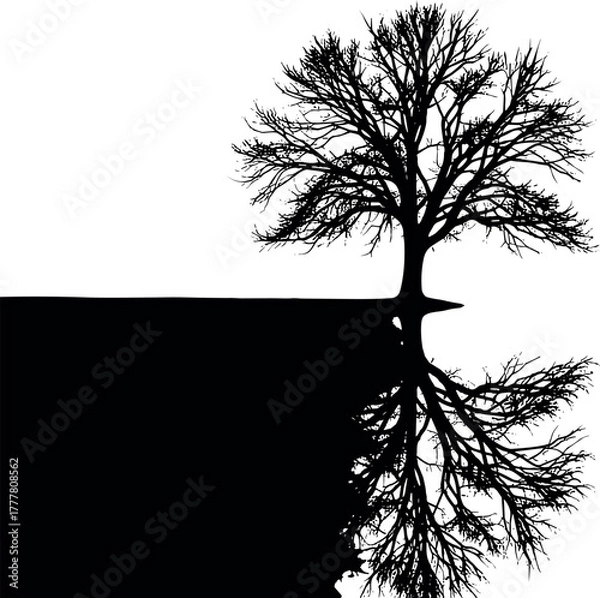 Obraz Silhouette of a bare tree with its reflection on a dark surface.