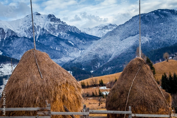 Obraz winter landscape in Romania. Haystacks and snowy Bucegi mountains (Carpathians) seen from Bran village, Transylvania. Romanian nature, landscape, scenery in wintertime. 
