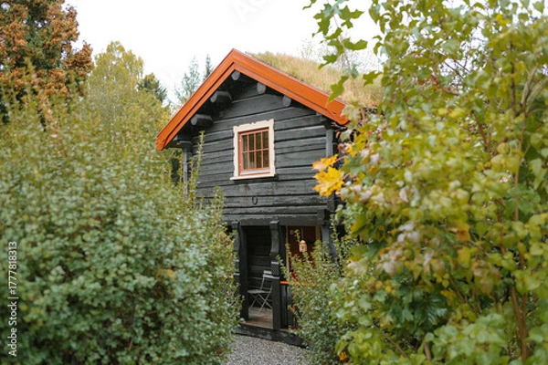 Fototapeta Rustic wooden cabin with orange roof surrounded by greenery in a forest setting
