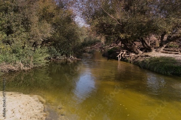 Obraz Calm river flowing through a lush green landscape in midday sun with trees lining the banks and soft sandy shore visible
