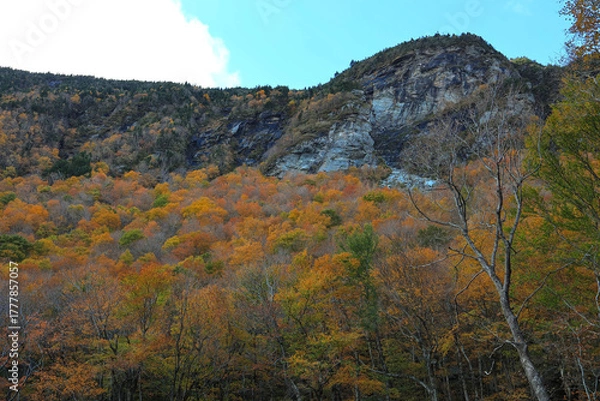 Fototapeta autumn landscape in the mountains