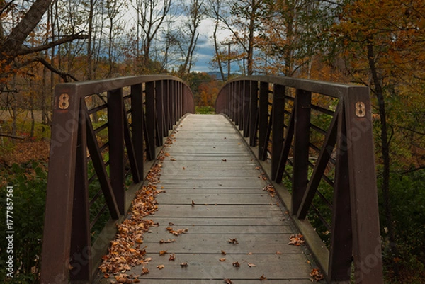 Fototapeta wooden bridge in the forest