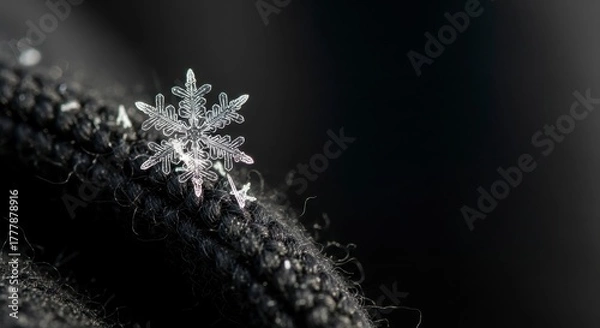 Obraz Detailed Macro Snowflake on Dark Textured Fabric.