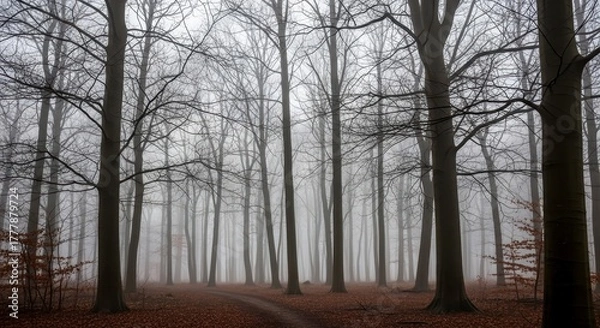 Obraz Misty Forest Path with Bare Winter Trees, and Autumn Leaves.