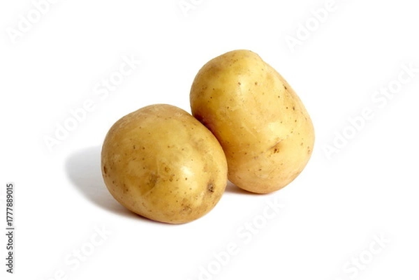 Obraz There are two raw potatoes on a white background.