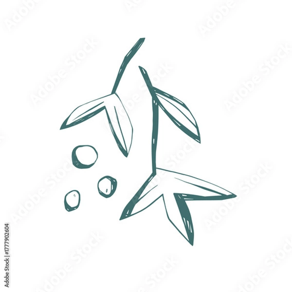 Fototapeta Mistletoe branch with berries drawn in minimal hand sketch style on white background for winter design projects