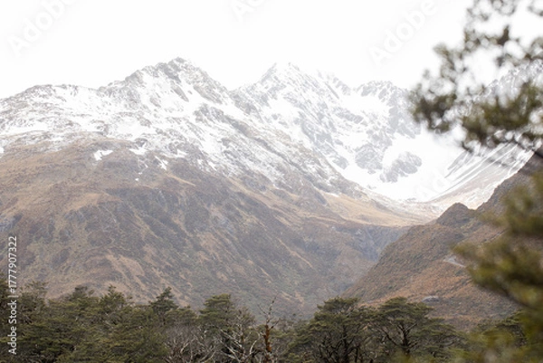 Fototapeta Majestic mountain landscape with snow-capped peaks and dense forest. Arthurs Pass, New Zealand