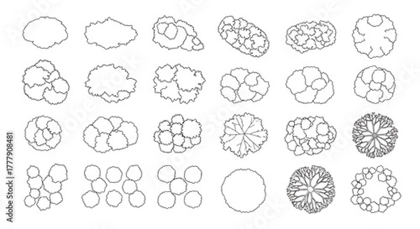 Fototapeta A set of vector drawings of various trees from above for architectural and landscape design plans